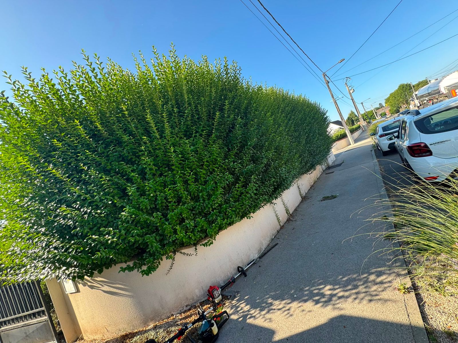 Taille de haies en bordure de rue