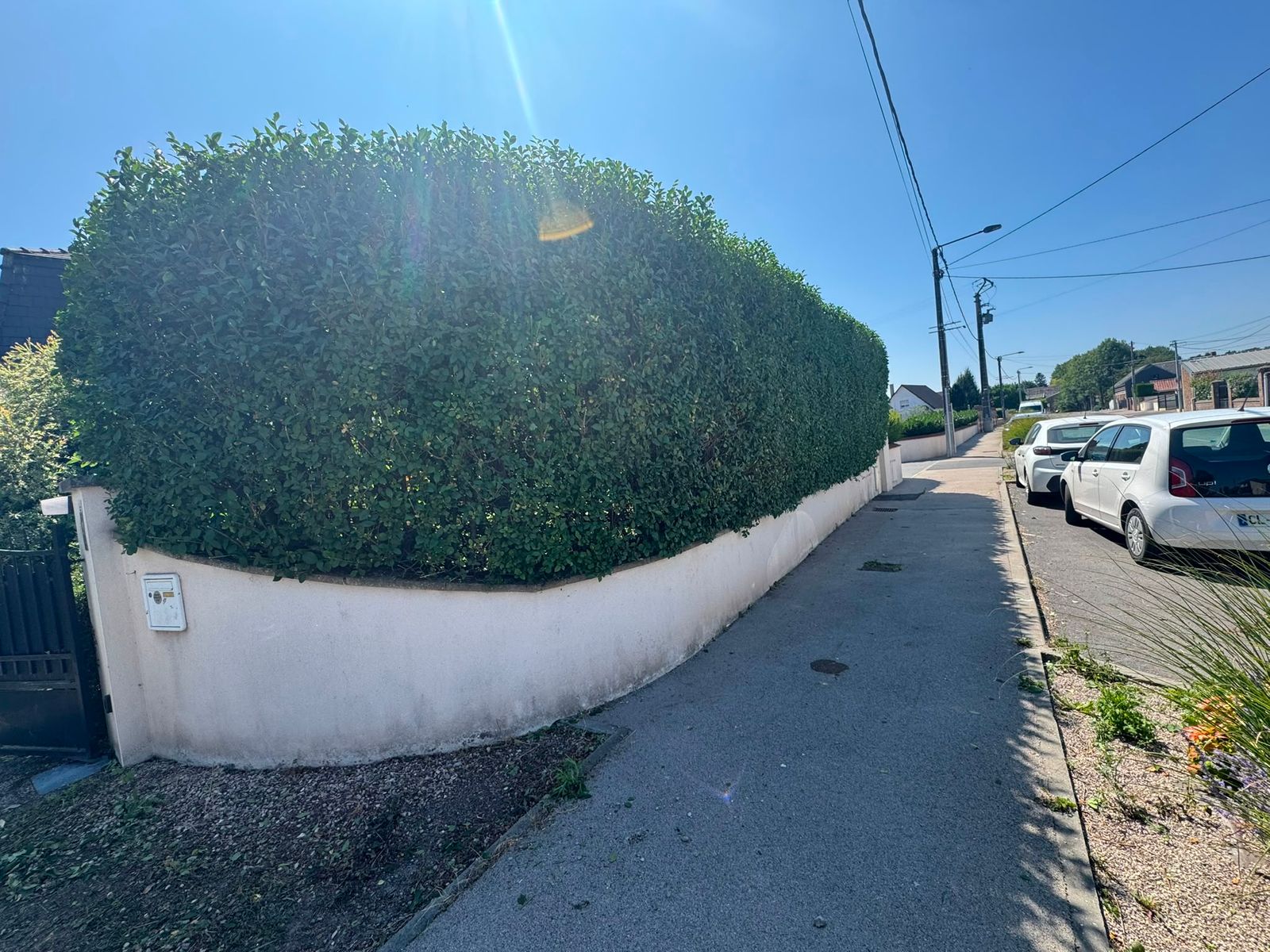 Taille de haies en bordure de rue