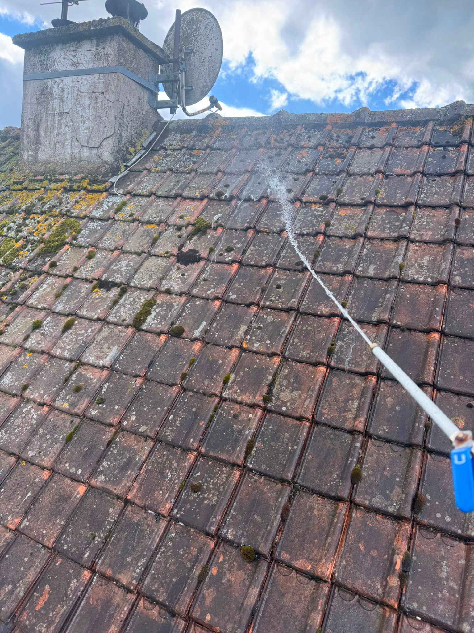 Démoussage complet d'une toiture envahie par la mousse