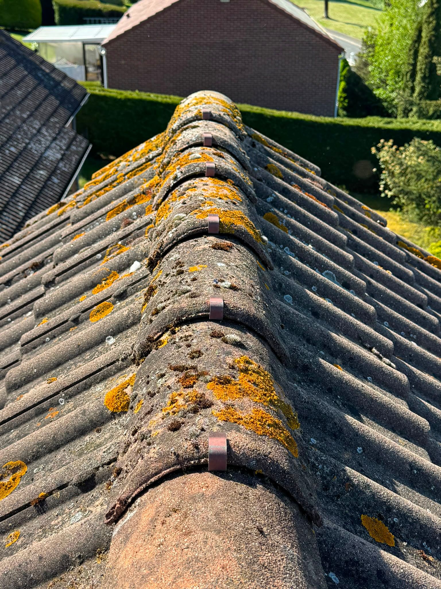 Démoussage complet d'une toiture envahie par la mousse
