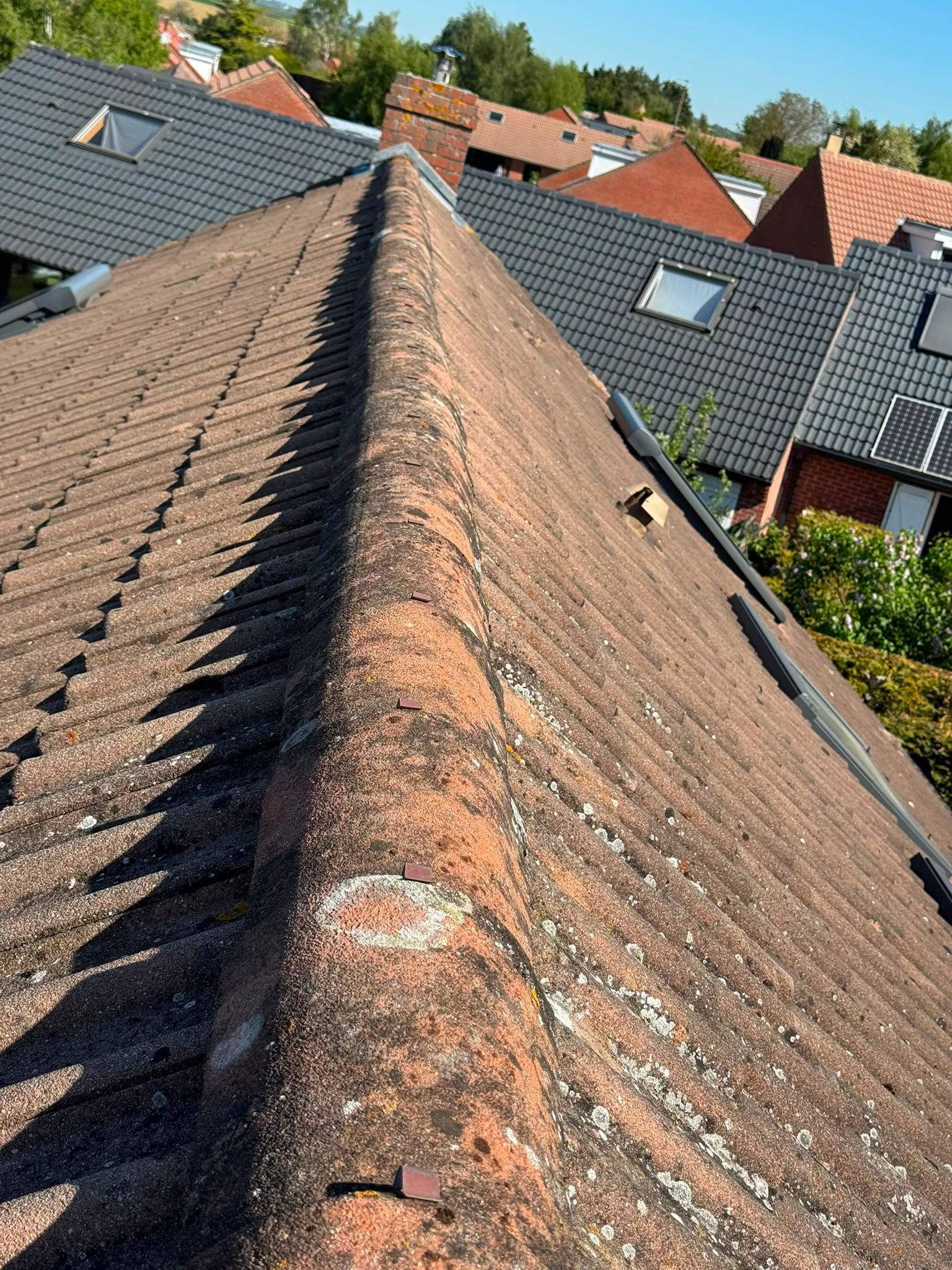 Démoussage complet d'une toiture envahie par la mousse