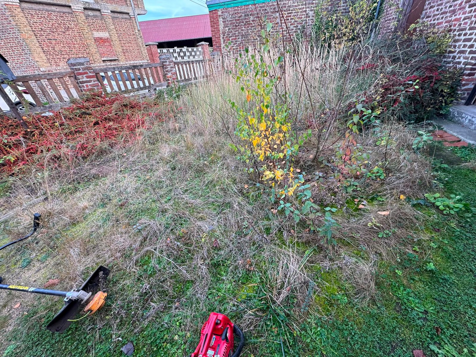 Débroussaillage et remise en état d'un terrain à l'abandon